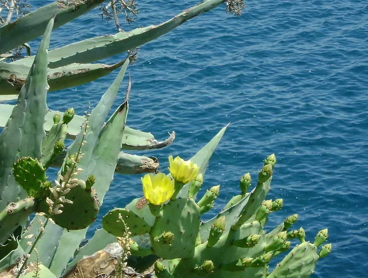 Apartment Veronica Split Croatia